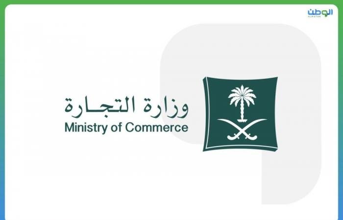 اقتصاد واسواق المال | قطاع الترجمة: نمو اقتصادي متسارع يواكب الطموحات العالمية | الخليج الان