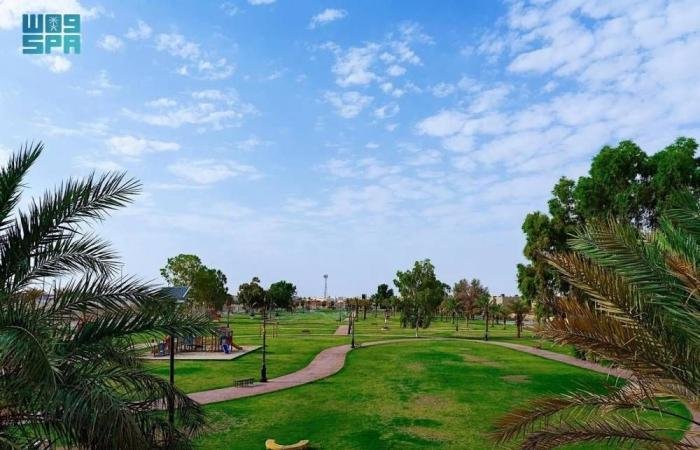 السعودية الان | توسع في ممرات المشاة والحدائق والساحات | الخليج الان