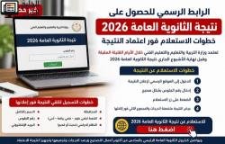 رابط نتيجة الثانوية العامة 2026 الرسمي.. خطوات الاستعلام فور اعتماد النتيجة