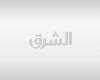 اقتصاد | غرفة قطر تبحث فرص الاستثمار بقطاع المعادن التنزاني | الخليج الان