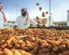 اقتصاد | السعودية الأولى عالمياً في تصدير التمور | الخليج الان
